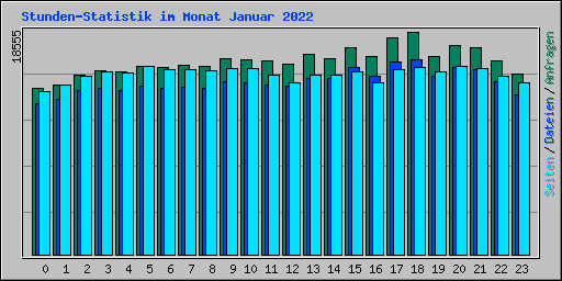 Stunden-Statistik im Monat Januar 2022