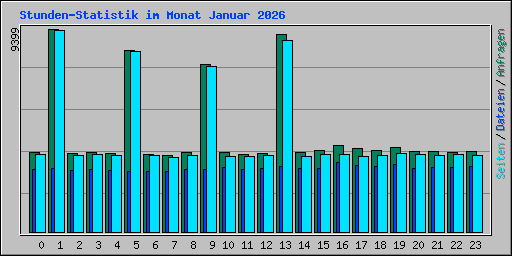 Stunden-Statistik im Monat Januar 2026