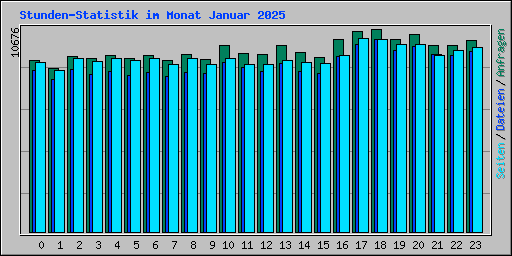 Stunden-Statistik im Monat Januar 2025