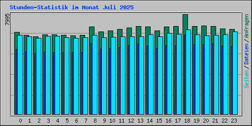 Stunden-Statistik im Monat Juli 2025