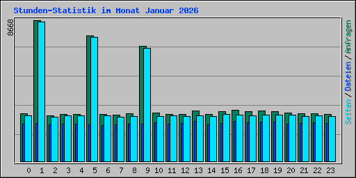 Stunden-Statistik im Monat Januar 2026